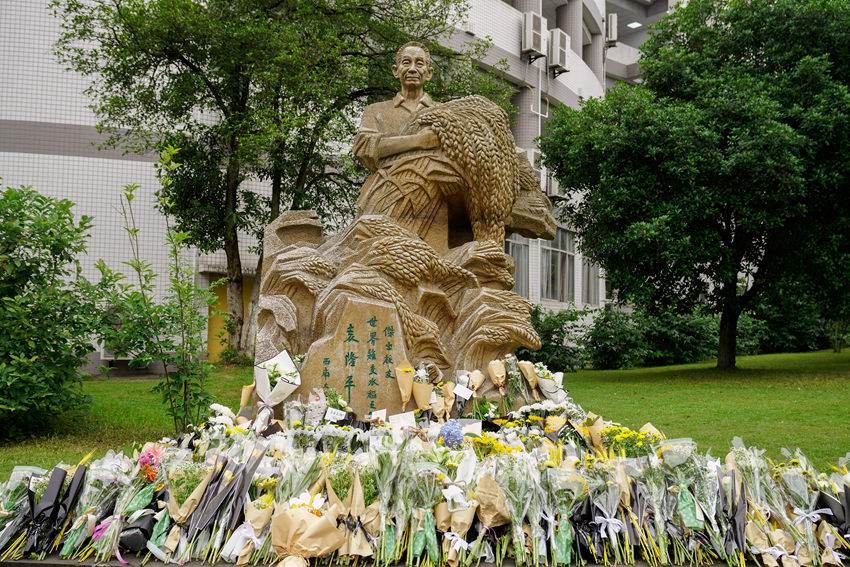 现代农业发展趋势与国际合作前景 – 从袁隆平的杂交水稻说起